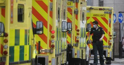 Government to launch 'thorough' investigation into 'ambulance failings cover up'