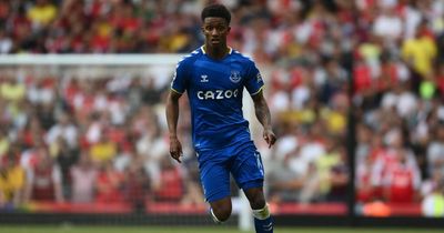 'We are glad it's over' - Demarai Gray makes Everton form admission after survival