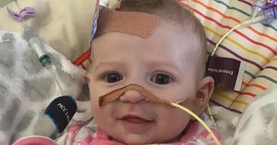 Downpatrick family's tribute to 'warrior' daughter Harley after child's death