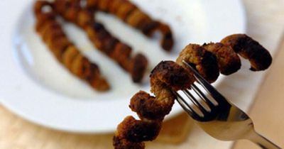 17 things you definitely did in school in Wales during the noughties