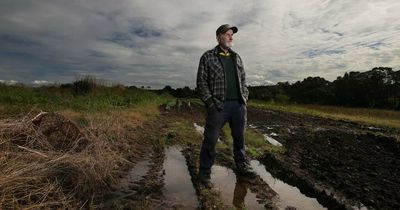 Can't sow, can't grow: 'Relentless' rain hurting Hunter farmers