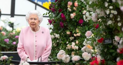 How to watch the Queen's Platinum Jubilee celebrations on TV