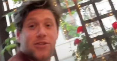 Niall Horan' humbled' by fan's mother after cheeky remark