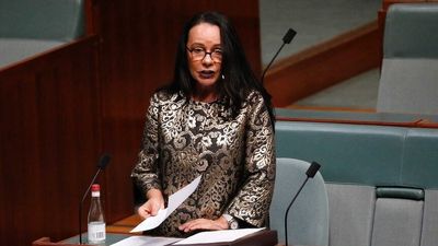 Anthony Albanese promised action on the Uluru Statement from the Heart. So what is the proposed Indigenous Voice to Parliament?