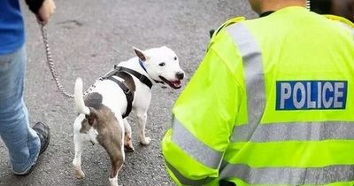 Top five dog attack hotspots in UK revealed amid 'epidemic' of horror incidents