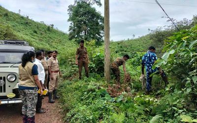 Forest Dept. inspects height of power lines in Gudalur division following electrocution of elephant