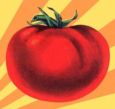 How a genetically-engineered tomato could help solve a global health crisis