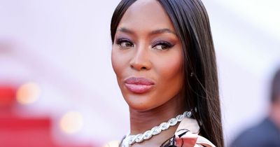 Naomi Campbell, 51, turns heads as she goes braless in plunging feather dress at Cannes