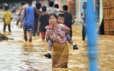 Heavy rainfall in Manipur leaves animals stranded