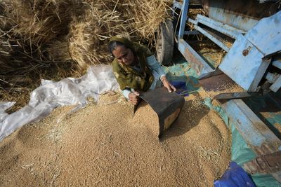 Inside India’s policy flip-flop on wheat exports