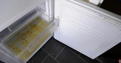 Ukrainian family who fled to Scotland given filthy flat with old nappy in fridge