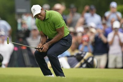 Wounded Tiger needs his indomitable spirit more than ever - Nick Rodger