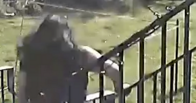 Sickening footage shows moment dog mauls Scots girl in Glasgow garden
