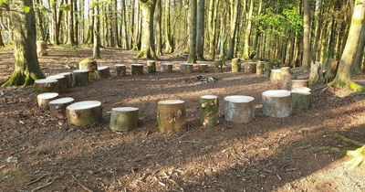 Children's log circle stolen from Kirkcudbright woodland by "morons"