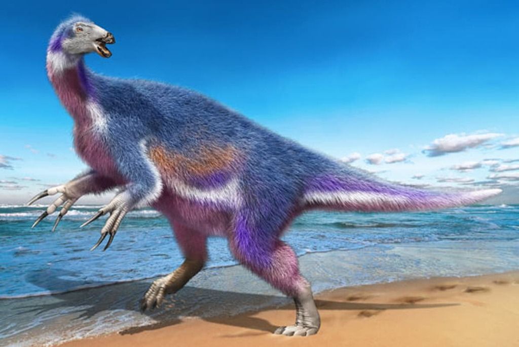 New dinosaur species discovered from fossils unearthed…