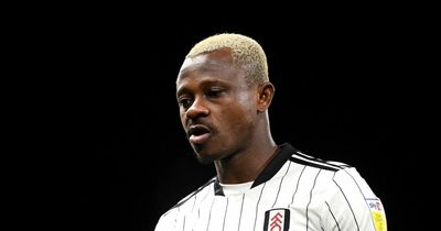 Fulham confirm 14 player exits ahead of Premier League return including £50m duo
