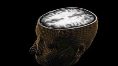 KAUST Researchers Create Chip Mimicking Human Brain