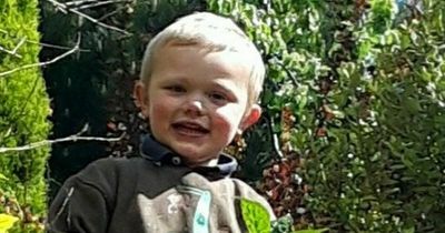 Family of boy, 3, who died in dog attack desperate to 'give him the send off he deserves'