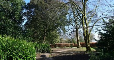 Woman, 35, 'grabbed from behind' while jogging in park