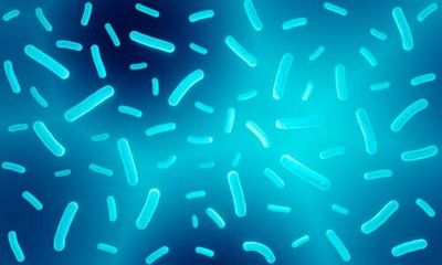 Antibiotics can hurt your gut microbiome, leading to a deadly fungal infection — study