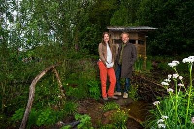 RHS Chelsea Flower Show: top prize won by creators of ‘rewilding’ garden gnawed by beavers