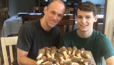 A ‘trove’ of Chicago morel mushrooms in Hyde Park earn Morel of the Week honors