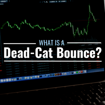 What Is a Dead-Cat Bounce? Definition and Example