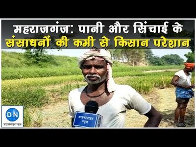 UP: Farmers in Maharajganj adopted Boro paddy cultivation due to lack of water; but now trapped in new crisis