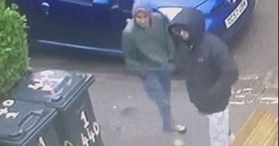 Bizarre footage shows pair stealing cheap plant pots outside Leeds café