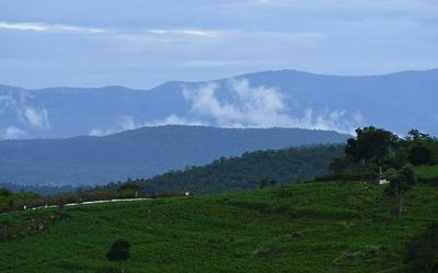 Tribals of beautiful but remote MM Hills to get vehicle transport services