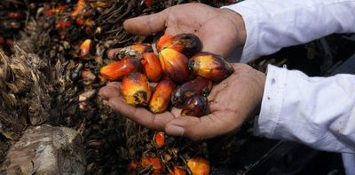 The impact of Indonesia's ban on palm oil exports reverberated across the globe