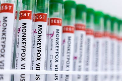 French health authority recommends targeted monkeypox vaccinations