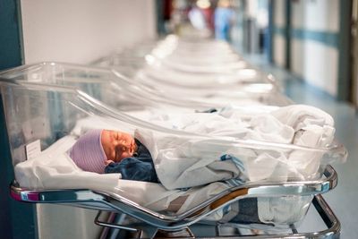 US birth rates increased for the first time in seven years
