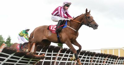 Sawbuck makes history to become biggest priced winner at 300-1 - as lucky backer cashes in