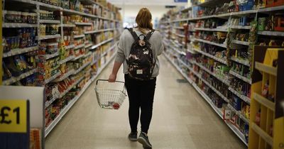 Tesco shopper cuts her food shop from £32 to £0 using Martin Lewis tip