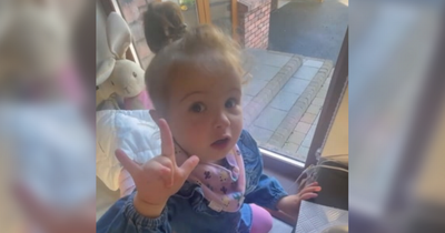 Watch: Co Tyrone girl goes viral with hilarious impression of grandparents