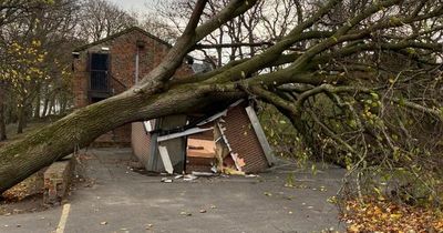 People demand park’s toilets back after massive storm damage