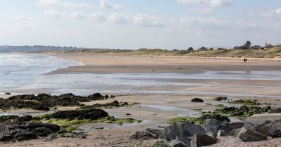 Fingal Mayor 'delighted' at Blue Flag beach hat-trick as council issues dog warning