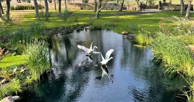 Northumberland private gardens to open this summer for charity