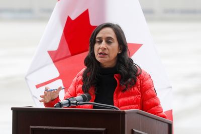 Canada buys ammunition from U.S. to send to Ukraine - defense minister