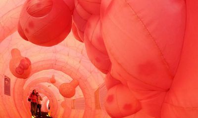 Understanding the aim of ‘poo in the post’ tests for bowel cancer