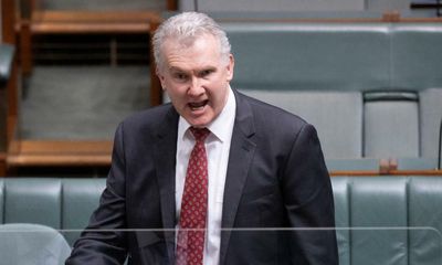 Tony Burke vows to ‘fix’ parliament as crossbench demands reform