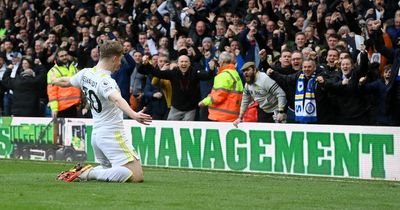 From Joe Gelhardt to Tyrone Mings - the key moments in Leeds United's battle against the drop