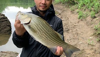 Chicago fishing, Midwest Fishing Report: A good forecast for Memorial Day weekend
