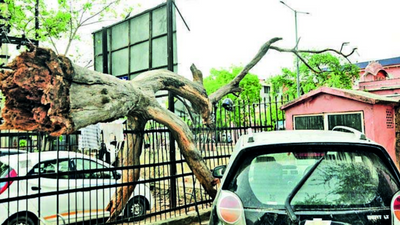 Rajasthan: 3 die in rain related mishaps in Kota