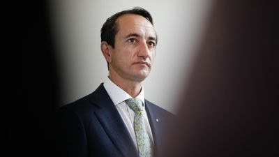 Ousted Liberal MP Dave Sharma says Scott Morrison was a 'drag' on his inner-city vote