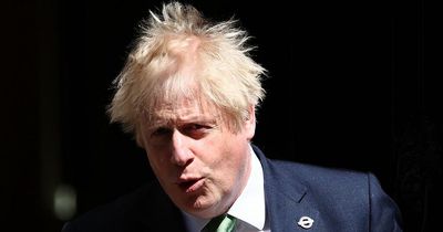 Boris Johnson would never have let chance pass to try to steer Sue Gray report into long grass