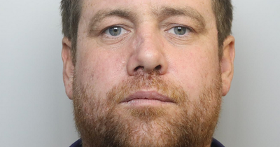 Cannabis crop found at Montpelier flat after 'dog bite' leads to discovery