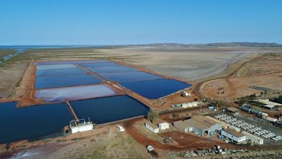 Australian chemical company EcoMag turning the Pilbara's waste into low-carbon plasterboard