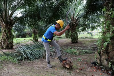 Malaysian palm oil giant seeks to repair image after abuse claims